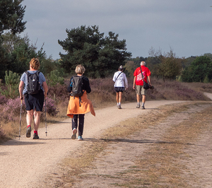 blz-13-2025-08-olat-wandeldagen-3-350dpi blz-13-2025-08-olat-wandeldagen-3-350dpi