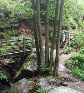 blz-7-cr-img20250525111415-350-6cm blz-7-cr-img20250525111415-350-6cm